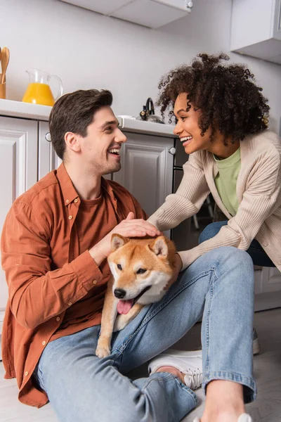 Весела багатоетнічна пара дивлячись один на одного, розважаючись з собакою шиба іну на кухні — стокове фото