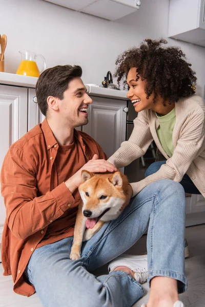 Cheerful multiethnic couple looking at each other while having fun with shiba inu dog in kitchen — Stock Photo