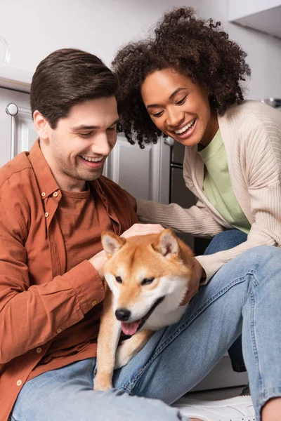 Sonriente interracial pareja abrazando divertido shiba inu perro en cocina - foto de stock