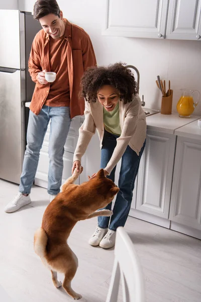 Fröhliche afrikanisch-amerikanische Frau hat Spaß mit shiba inu Hund in der Nähe Freund mit Kaffeetasse — Stockfoto