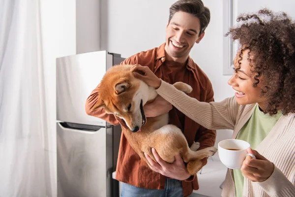 Africano americano donna con caffè tazza accarezzando shiba inu cane in mani di felice fidanzato — Foto stock