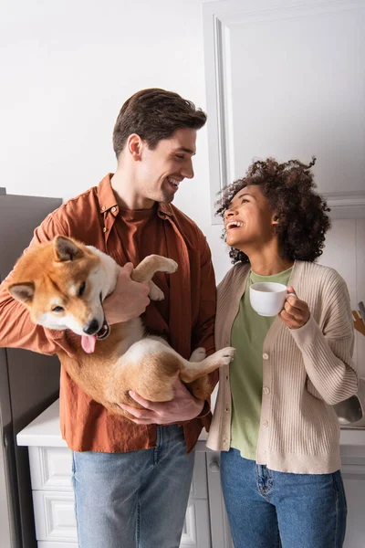 Divertente shiba inu cane attaccare fuori lingua vicino felice interrazziale coppia sorridente a vicenda in cucina — Foto stock