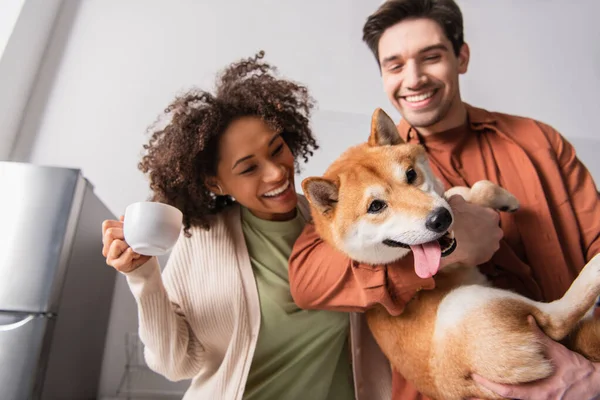 Engraçado shiba inu cão saindo língua perto alegre interracial casal — Fotografia de Stock