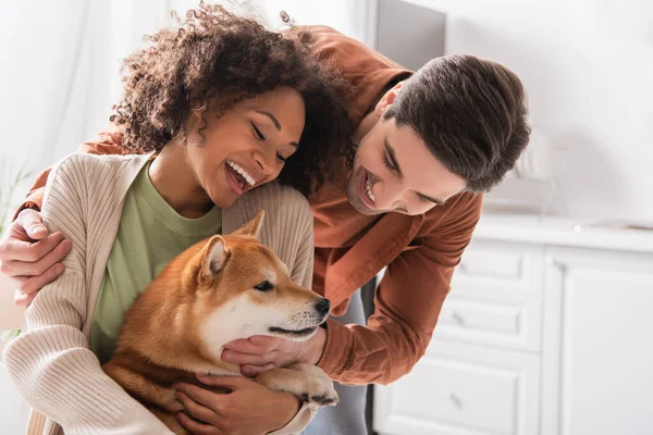 Giovane uomo abbracciare stupito africano americano fidanzata coccole shiba inu cane in cucina — Foto stock