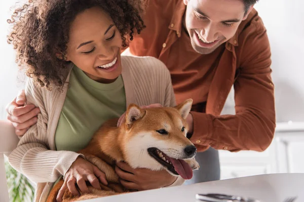 Smiling man embracing african american girlfriend cuddling shiba inu dog in kitchen — Stock Photo