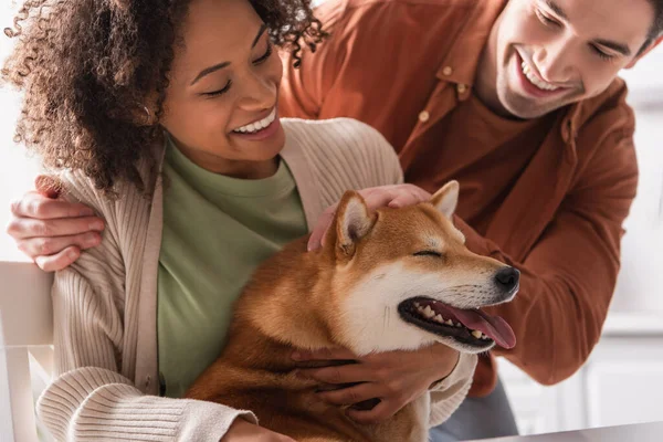 Funny shiba inu dog with closed eyes sticking out tongue near happy interracial couple — Stock Photo