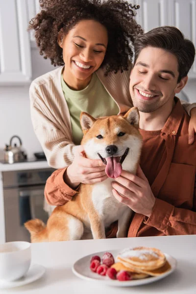Divertente shiba inu cane attaccare fuori lingua vicino felice coppia interrazziale in cucina — Foto stock