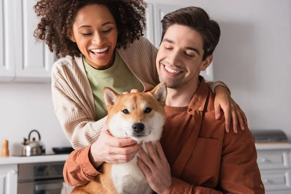 Shiba inu cão olhando para a câmera perto satisfeito casal multiétnico na cozinha — Fotografia de Stock