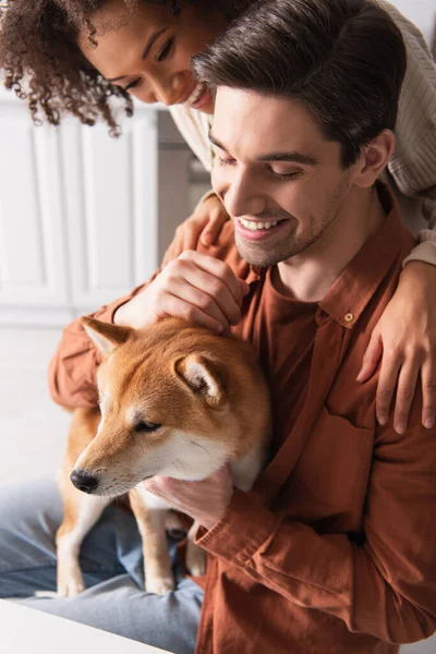 Heureuse femme afro-américaine embrassant petit ami près shiba inu chien dans la cuisine — Photo de stock