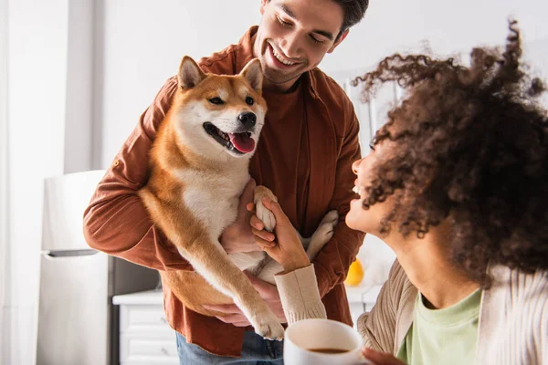 Afro-americano mulher segurando pata de shiba inu cão saindo língua em mãos de sorrir homem — Fotografia de Stock