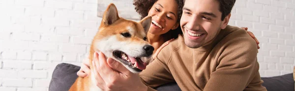Homme caressant chiba inu chien près de joyeuse petite amie afro-américaine à la maison, bannière — Photo de stock