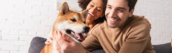 Mann streichelt Shiba-Inu-Hund neben fröhlicher afrikanisch-amerikanischer Freundin zu Hause, Banner — Stockfoto