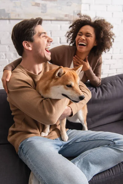 Eccitato uomo abbracciando Shiba inu cane vicino fidanzata afro-americana in soggiorno — Foto stock