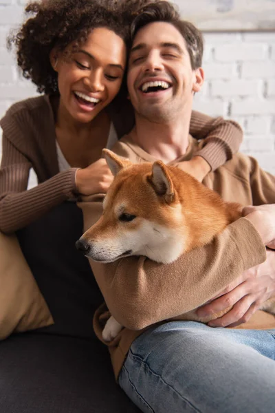 Homem desfocado abraçando shiba inu cão perto Africano americano namorada em casa — Fotografia de Stock