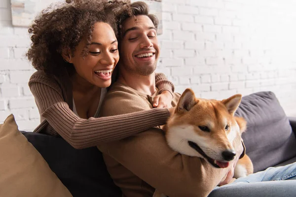 Femme afro-américaine positive étreignant son petit ami et caressant shiba inu chien à la maison — Stock Photo