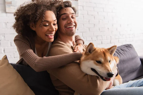 Positivo africano americano donna abbracciare fidanzato e coccolare shiba inu cane a casa — Foto stock