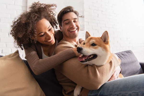 Sonriente mujer afroamericana mirando shiba inu mientras abraza novio en sala de estar - foto de stock