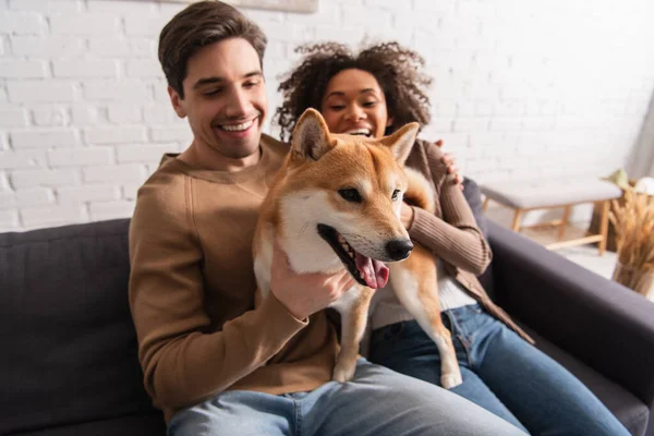 Brouillé interracial couple holding shiba inu sur canapé à la maison — Photo de stock