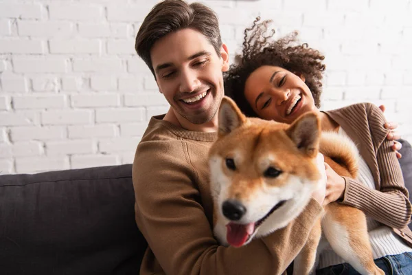 Sonriente hombre acariciando borrosa shiba inu perro cerca africano americano novia en sofá - foto de stock