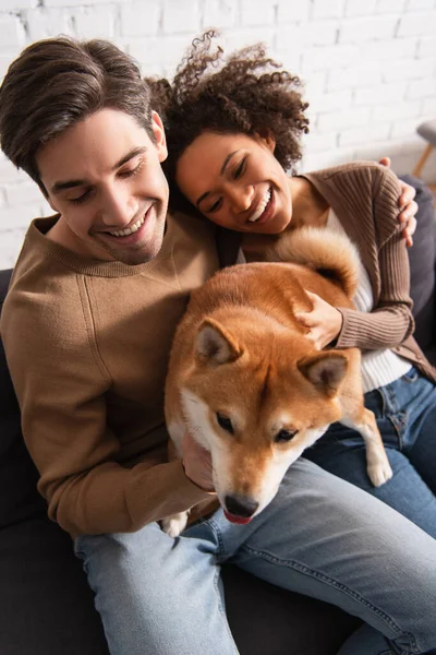 Vue grand angle du couple souriant multiethnique caressant shiba inu sur le canapé à la maison — Photo de stock