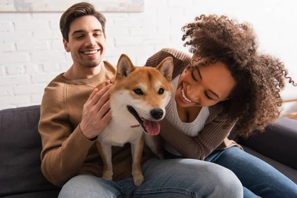 Sonriente mujer afroamericana acariciando shiba inu cerca de novio en sofá en casa - foto de stock