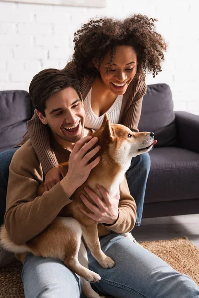 Cheerful multiethnic couple petting shiba inu near couch in living room — Stock Photo