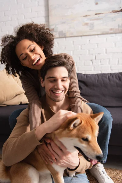 Couple multiethnique positif caressant shiba flou inu près du canapé à la maison — Photo de stock