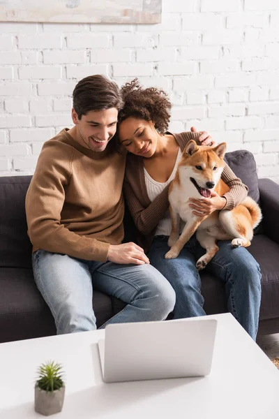 Smiling interracial couple with shiba inu dog looking at laptop in living room — Stock Photo