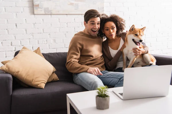 Emocionada pareja interracial con shiba inu mirando portátil en la mesa de café en casa - foto de stock