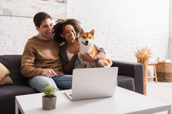Positive interracial couple looking at shiba inu near laptop in living room — Stock Photo
