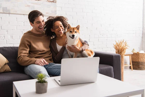 Positiva coppia interrazziale guardando shiba inu vicino laptop in soggiorno — Foto stock