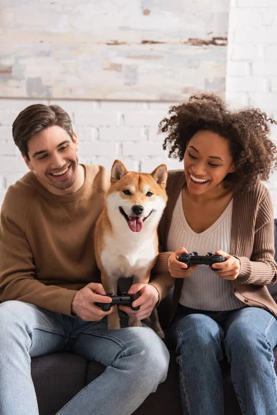 KIEW, UKRAINE - 22. DEZEMBER 2021: Positives gemischtrassiges Paar spielt Videospiel und betrachtet Shiba Inu zu Hause — Stockfoto