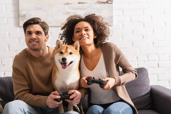 KYIV, UCRANIA - 22 de diciembre de 2021: Pareja interracial enfocada jugando videojuegos cerca del perro shiba inu en casa - foto de stock