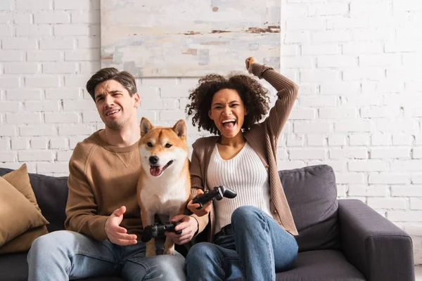 KYIV, UKRAINE - 22 DÉCEMBRE 2021 : Femme afro-américaine joyeuse jouant au jeu vidéo avec son petit ami bouleversé près de shiba inu à la maison — Photo de stock