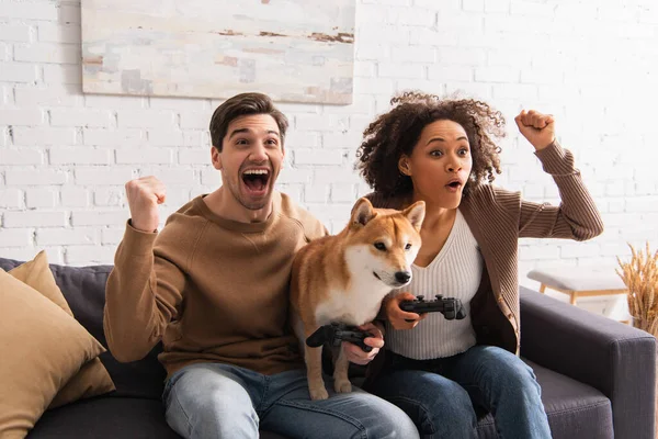 KYIV, UCRANIA - 22 DE DICIEMBRE DE 2021: Pareja interracial emocionada mostrando sí gesto mientras juega videojuego cerca de shiba inu en casa - foto de stock