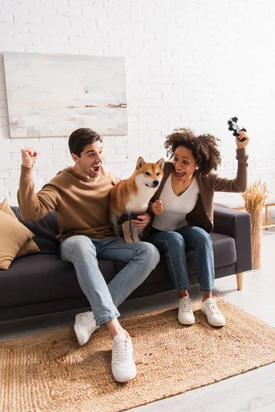 KYIV, UKRAINE - 22 DÉCEMBRE 2021 : Couple interracial excité tenant des joysticks près de shiba inu à la maison — Photo de stock