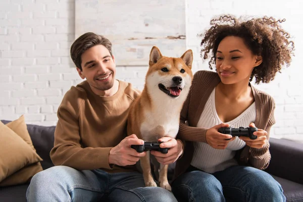 KYIV, UCRANIA - 22 de diciembre de 2021: Pareja multiétnica mirando a shiba inu y jugando videojuegos en la sala de estar - foto de stock