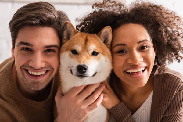 Sonriente pareja interracial mirando a la cámara y acariciando shiba inu en casa - foto de stock