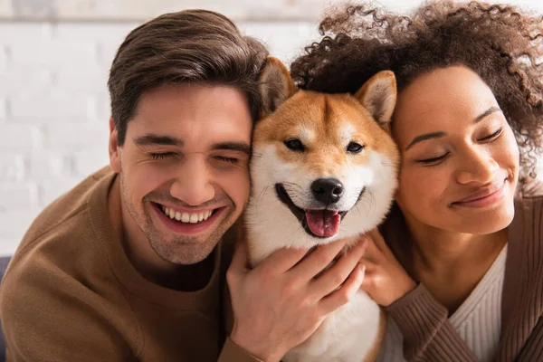 Fröhlich Mann mit geschlossenen Augen streichelt shiba inu in der Nähe afrikanisch-amerikanische Freundin zu Hause — Stockfoto