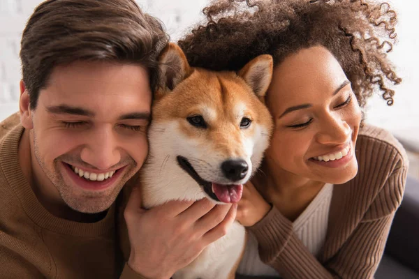 Sonriente pareja multiétnica con los ojos cerrados acariciando shiba inu en casa - foto de stock