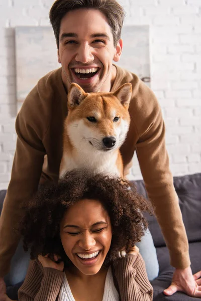 Glücklicher Mann schaut in die Kamera in der Nähe von shiba inu und lächelt afrikanisch-amerikanische Freundin zu Hause — Stockfoto