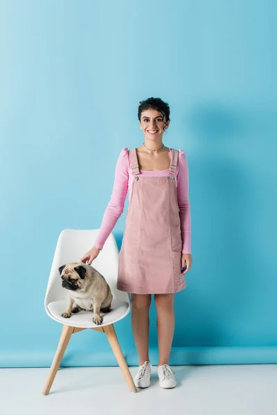 Vue pleine longueur de femme souriante en vêtements pastel près de carlin sur chaise sur fond bleu — Photo de stock