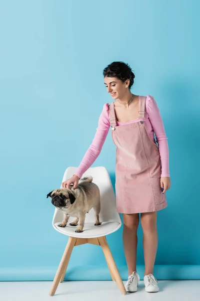 Jeune et souriante femme caressant chiot chien debout sur chaise blanche sur fond bleu — Photo de stock