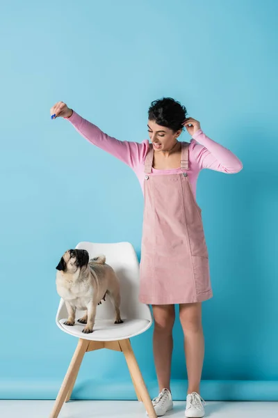 Cheerful woman playing with pug on white chair on blue background — Stock Photo