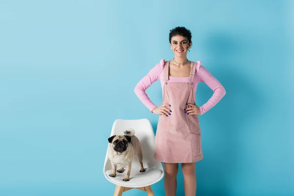 Happy woman standing with hands on hips near pug on white chair on blue background — Stock Photo
