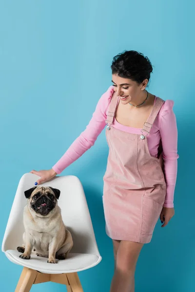 Smiling woman in pastel clothing looking at pug on white chair on blue background — Stock Photo