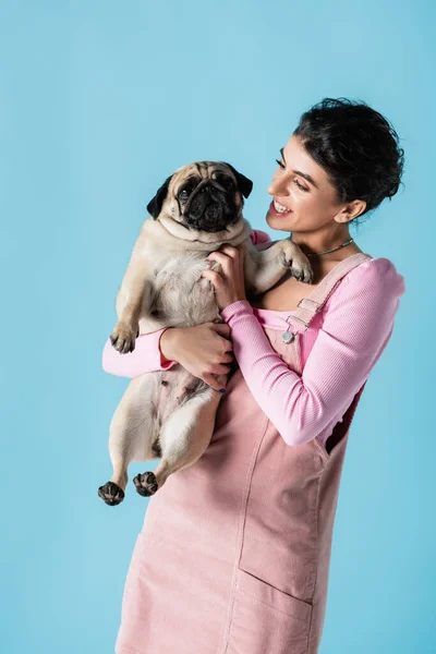 Feliz morena mujer en pastel ropa celebración pug perro aislado en azul - foto de stock