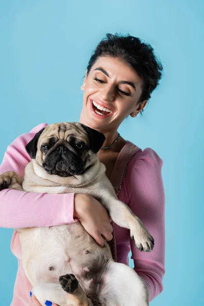 Animado morena mulher segurando pug cão isolado no azul — Fotografia de Stock