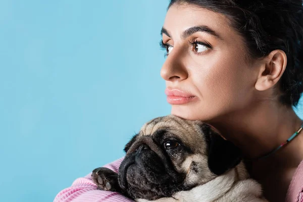 Nahaufnahme einer nachdenklichen Frau, die in der Nähe eines Mops auf blauem Grund isoliert wegsieht — Stockfoto