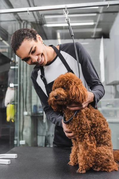 Smiling african american groomer hugging brown poodle in pet salon — Stock Photo